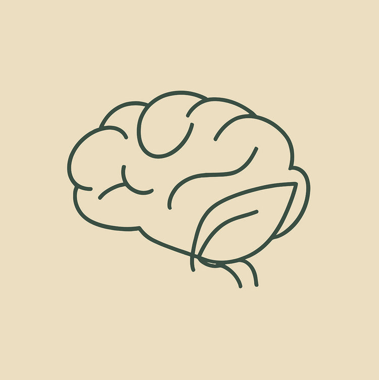 Icône représentant un cerveau et une feuille symbolisant la concentration et la performance mentale