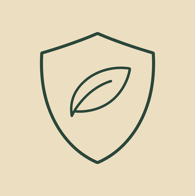 Icône représentant un bouclier avec une feuille, symbolisant l’immunité et les défenses naturelles