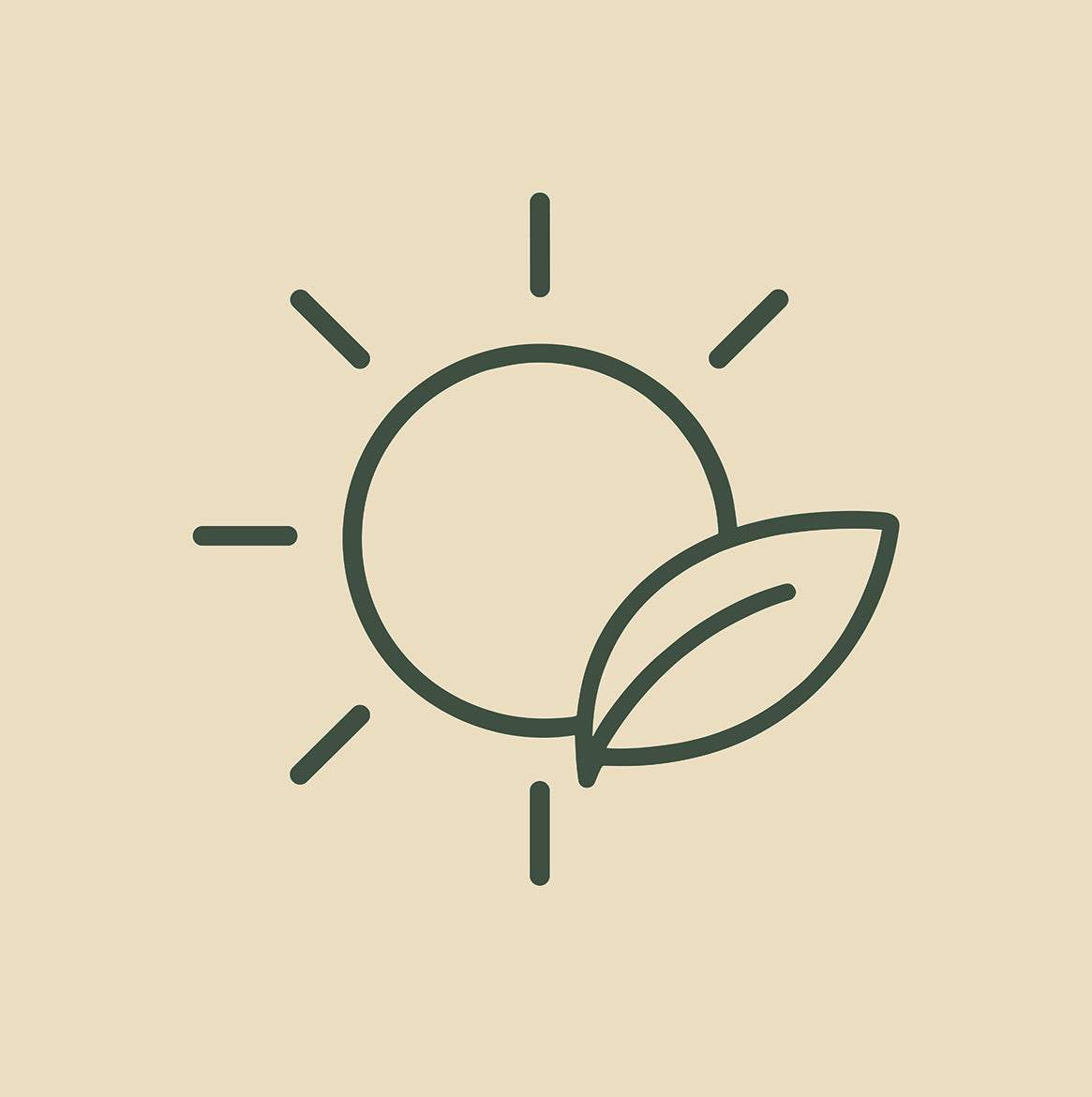Icône représentant un soleil et une feuille symbolisant l’énergie naturelle et la vitalité
