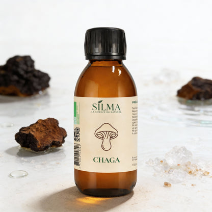 Sirop Chaga SILMA – complément alimentaire antioxydant et soutien naturel de l’immunité